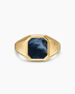 Streamline® Signet Ring 18K Yellow Gold with Pietersite, 14mm