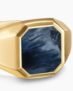 Streamline® Signet Ring 18K Yellow Gold with Pietersite, 14mm