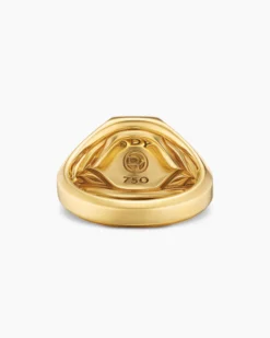 Streamline® Signet Ring 18K Yellow Gold with Pietersite, 14mm