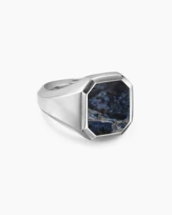 Streamline® Signet Ring Sterling Silver with Pietersite, 18mm