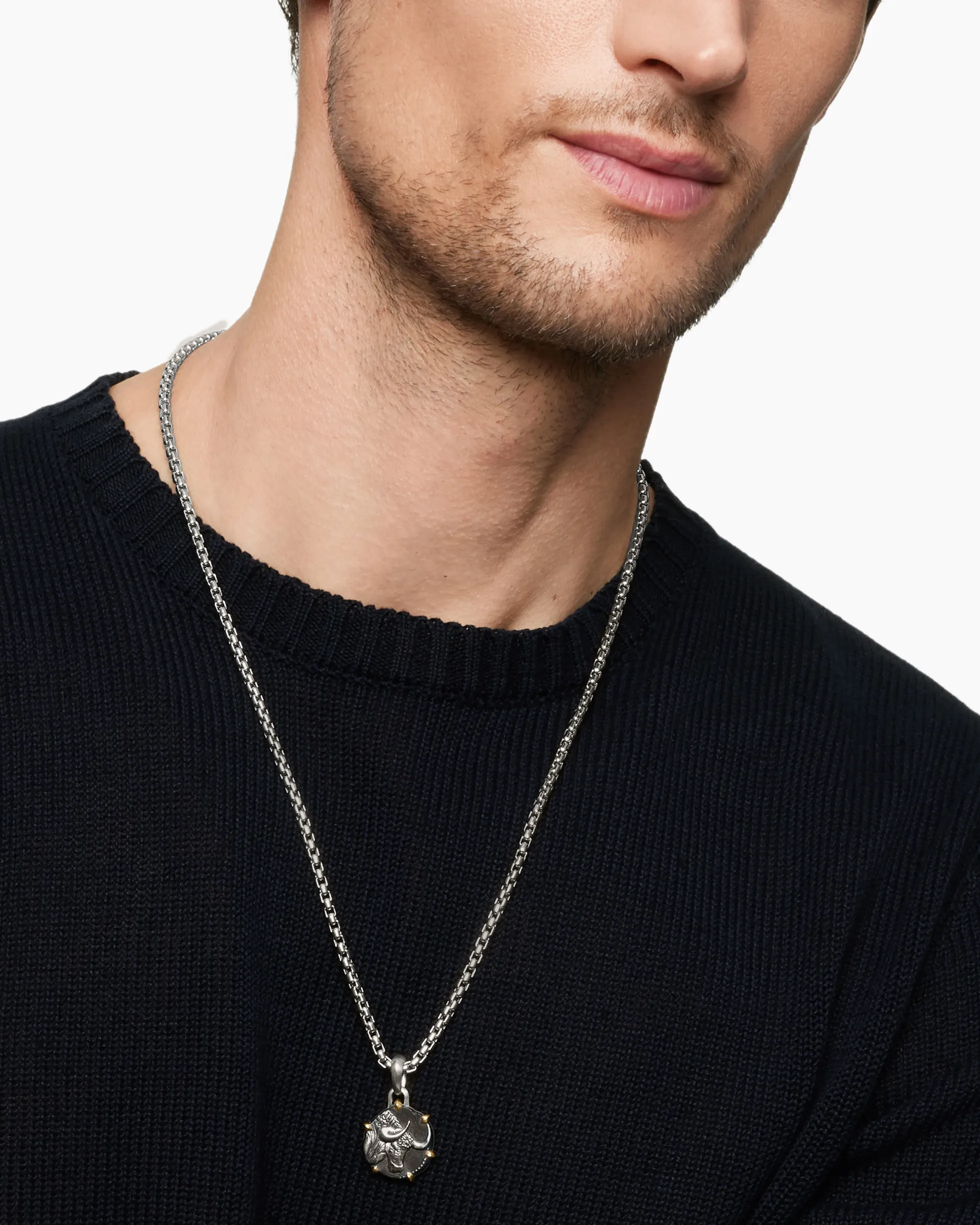 Taurus Amulet Sterling Silver with 18K Yellow Gold, 23mm