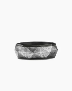 Torqued Faceted Band Ring Black Titanium with Meteorite, 8.5mm