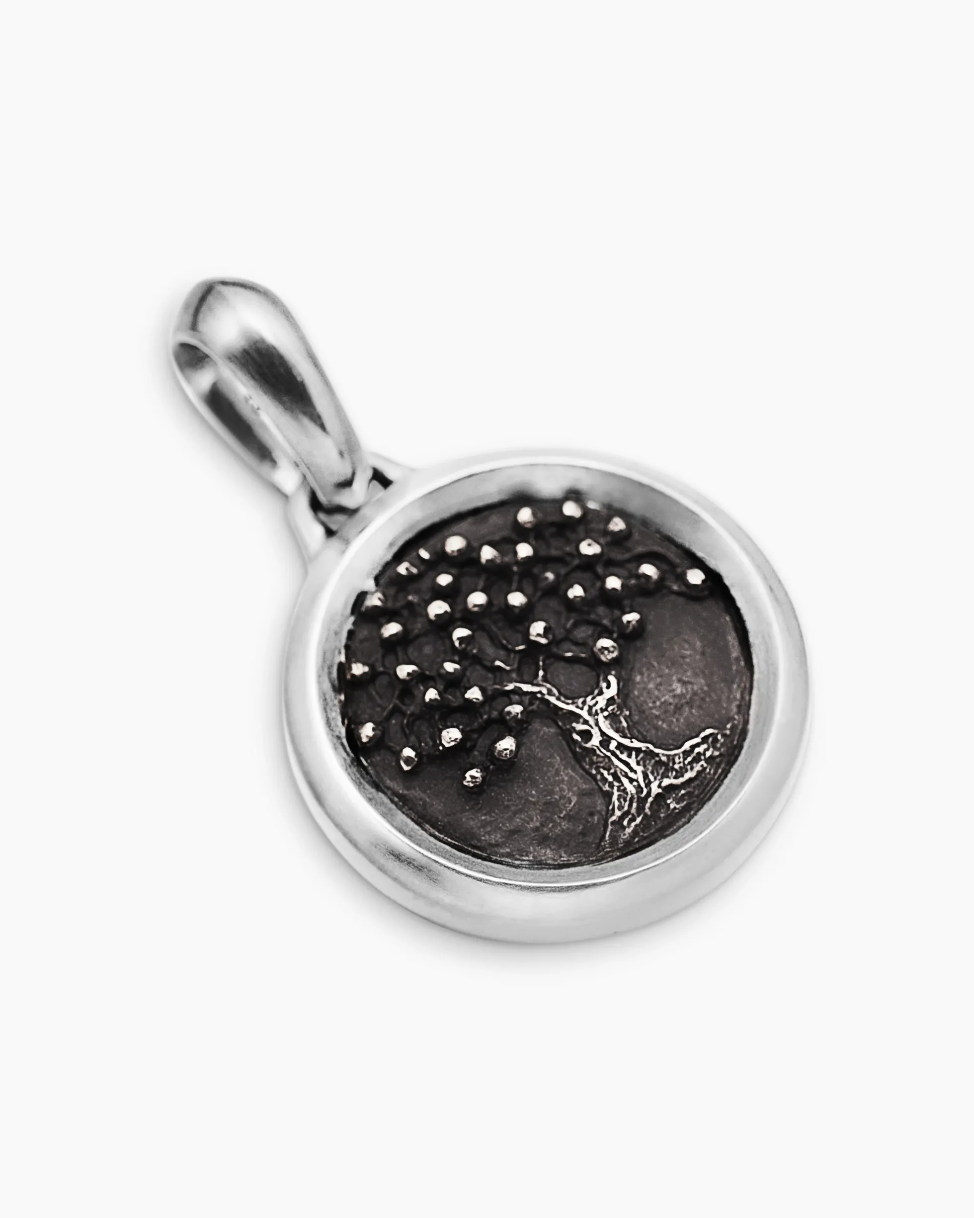 Tree of Life Amulet Sterling Silver with Bronze, 22.8mm