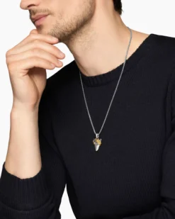 Waves Shark Tooth Amulet Sterling Silver with 18K Yellow Gold, 25mm